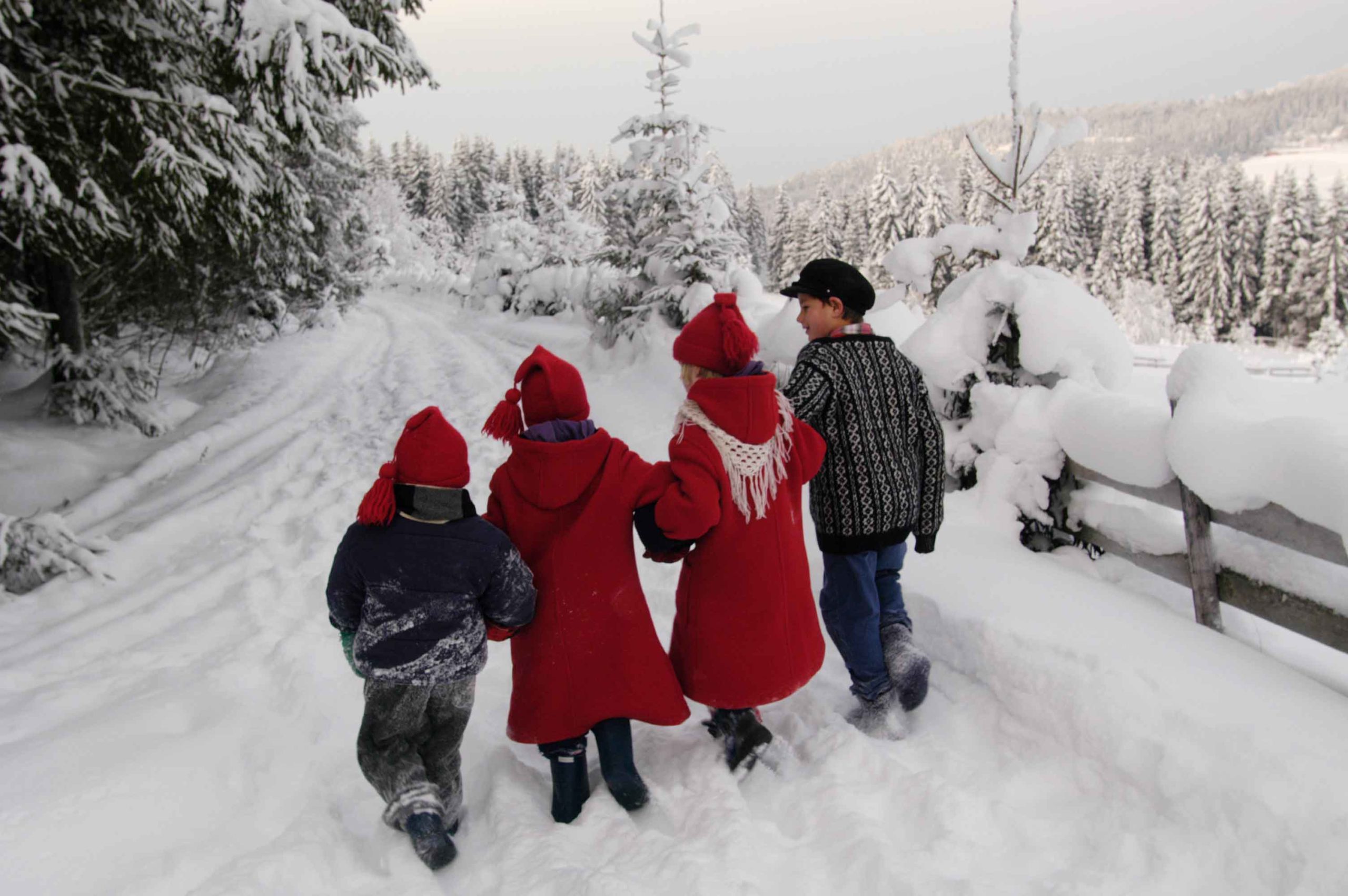 Barn, tur, snø, nisseluser, gamle klær, stemning, skigard, grantre